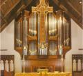  Organ Case