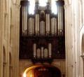 Organ case