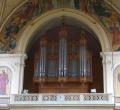 Organ case