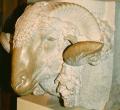 Carved rams head 
