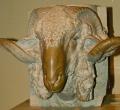 Carved rams head 