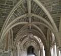 Gothic cloister 