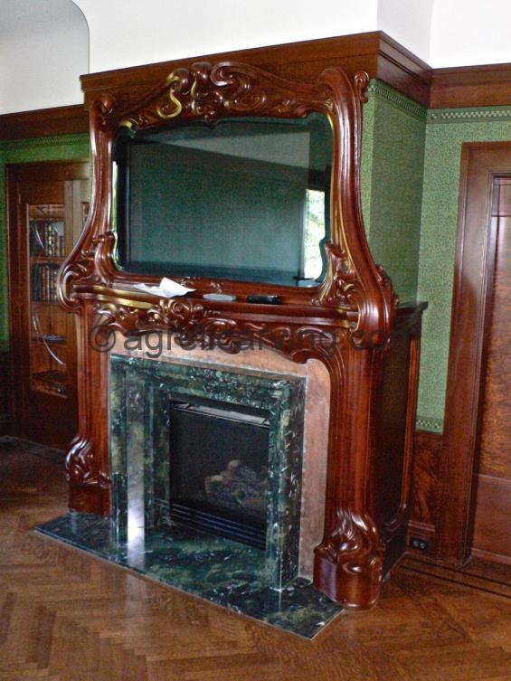 Nouveau fire surround