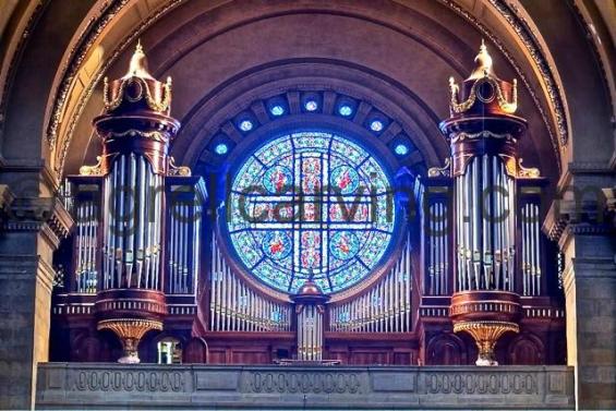Organ Case