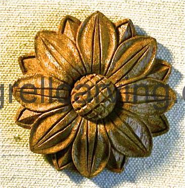 Patera