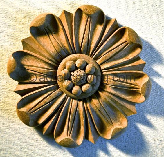  Patera