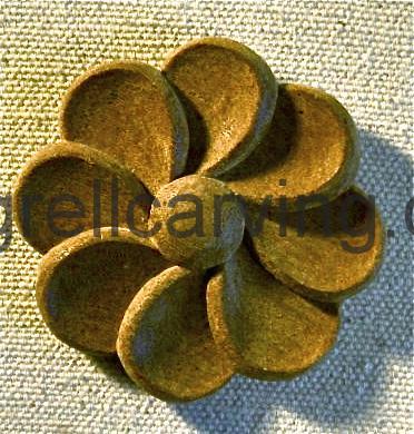  Patera