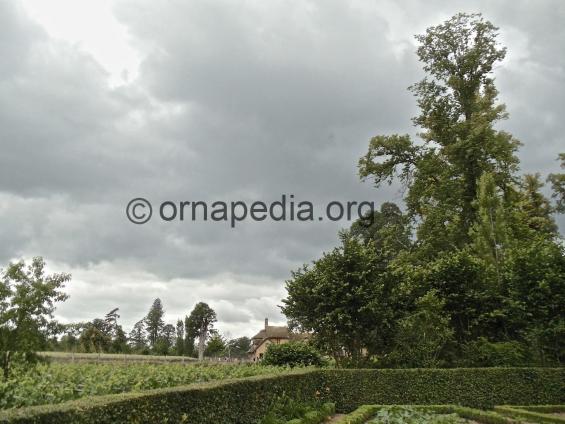 Marie Antoinette's farm