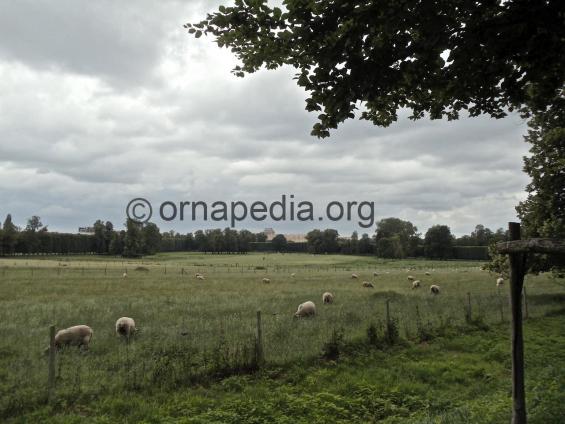 Marie Antoinette's farm