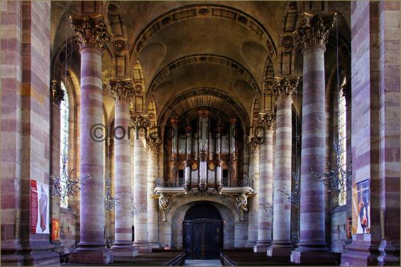 Organ case