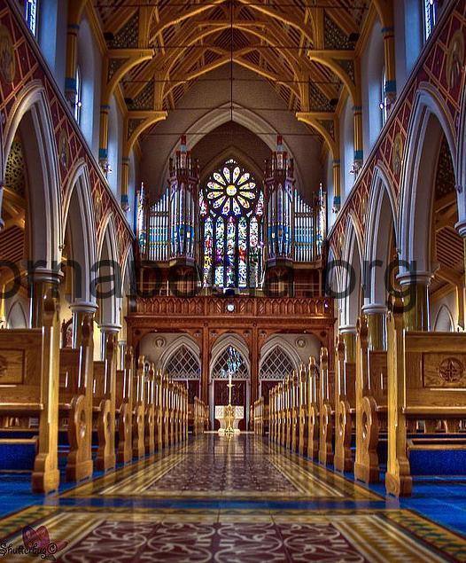 Organ case