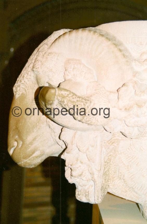 Carved rams head 