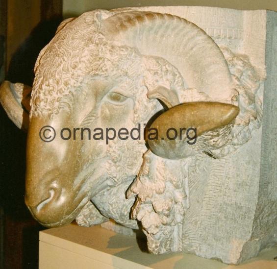 Carved rams head 