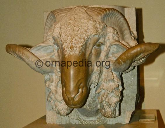 Carved rams head 